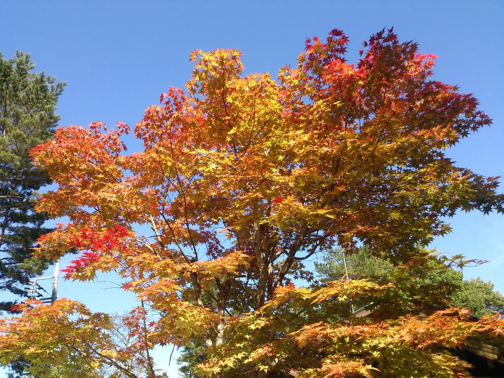 Runesu Karuizawa Kitakaruizawa Luaran gambar